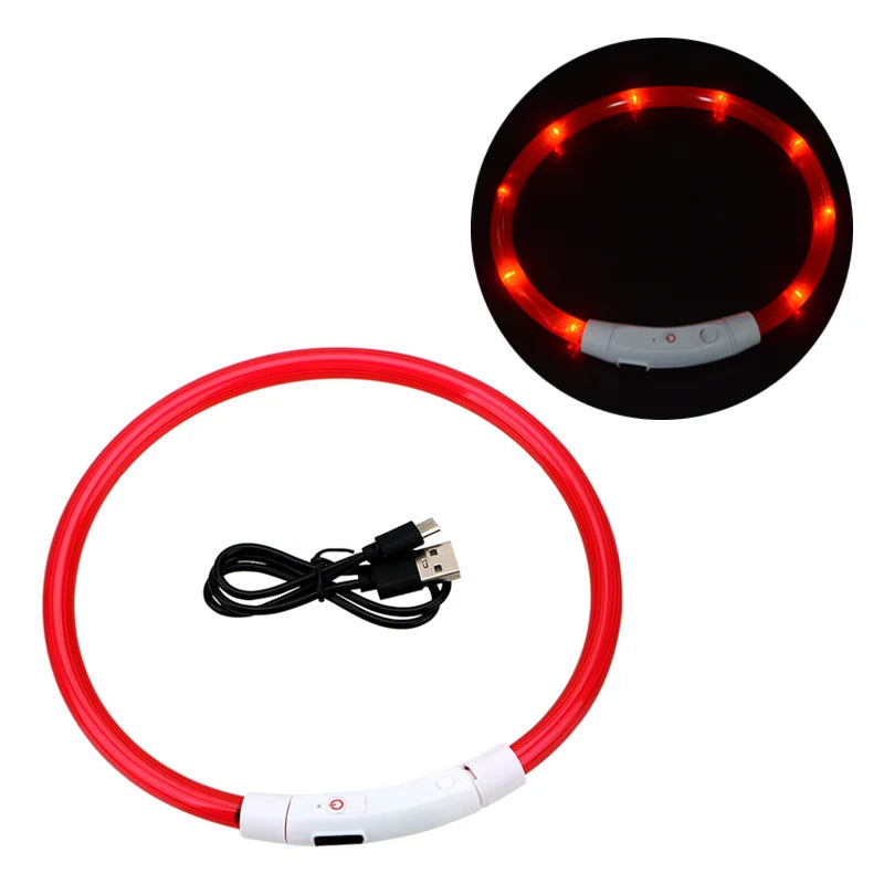 Dog LED Luminous Collar with USB - Amazing Pup Goodies