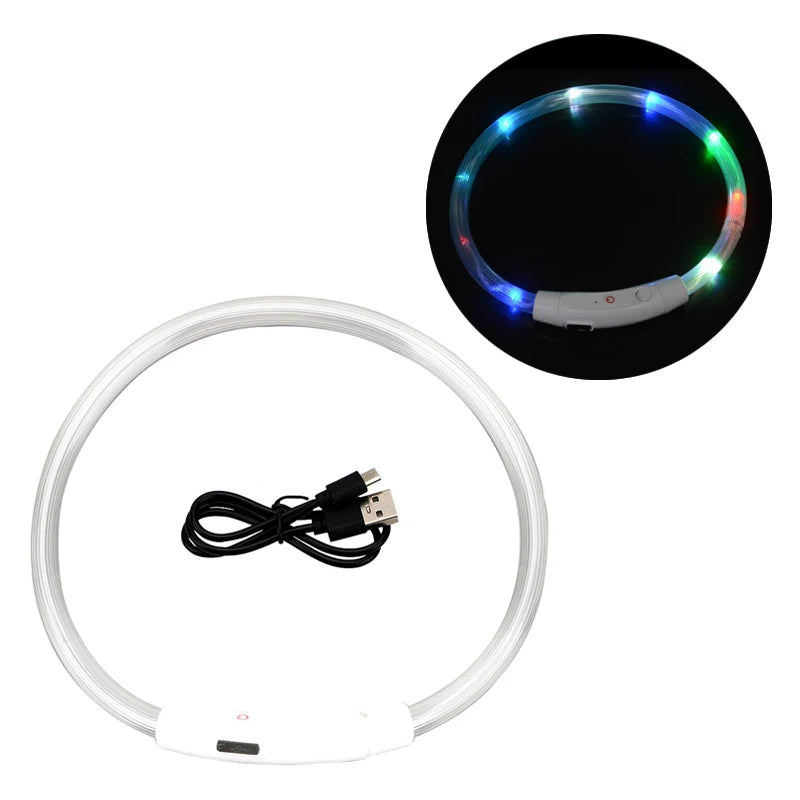 Dog LED Luminous Collar with USB - Amazing Pup Goodies