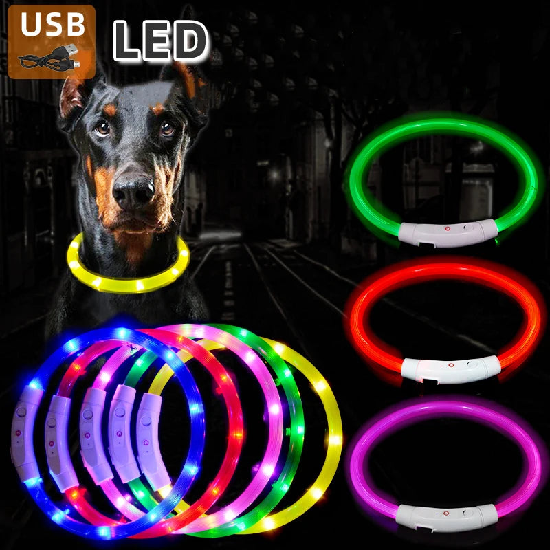 Dog LED Luminous Collar with USB - Amazing Pup Goodies