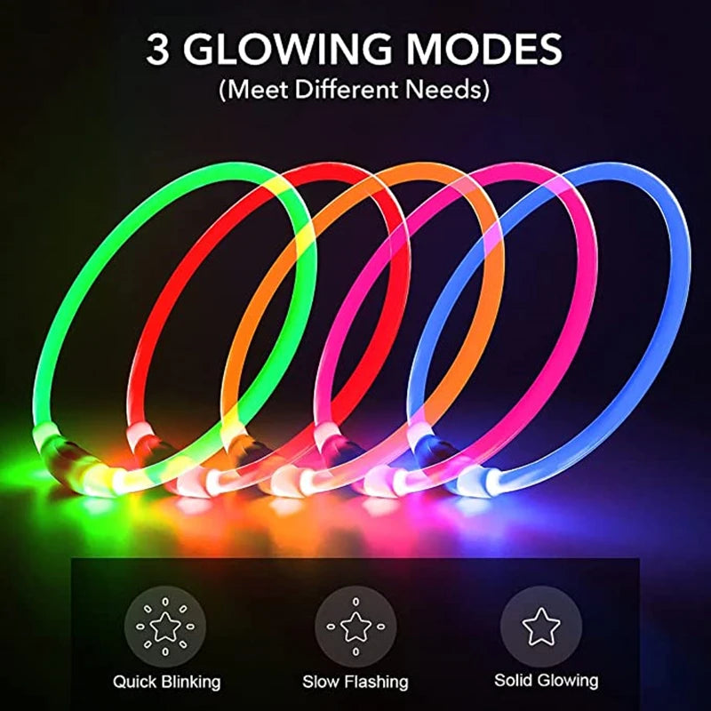 Dog LED Luminous Collar with USB - Amazing Pup Goodies