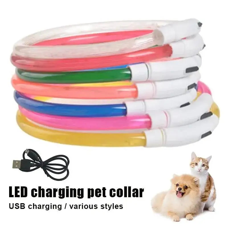 Dog LED Luminous Collar with USB - Amazing Pup Goodies