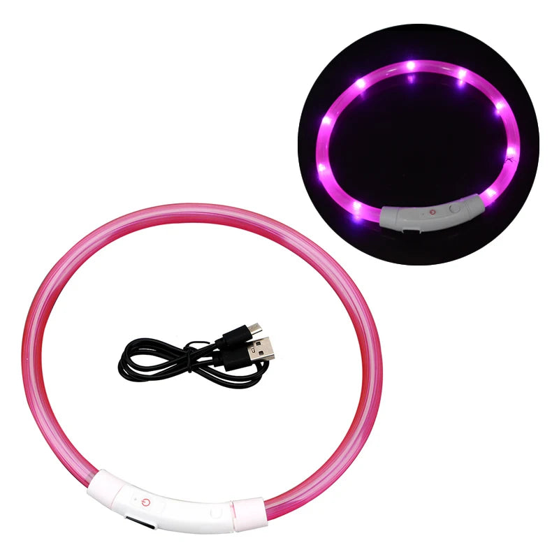 Dog LED Luminous Collar with USB - Amazing Pup Goodies