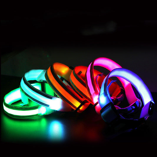 Dog Collar Anti-lost Led Luminous Light - Amazing Pup Goodies